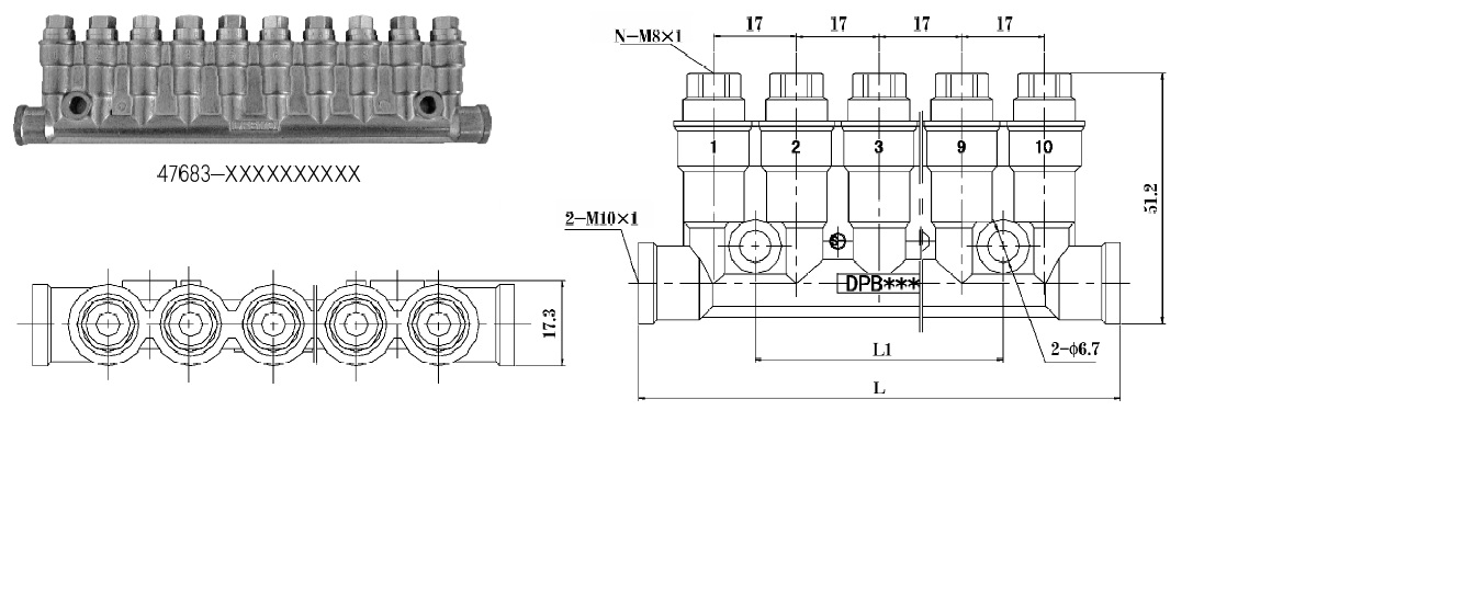 DPB_1.jpg